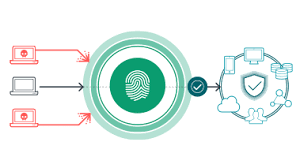 Zero-Trust Architecture